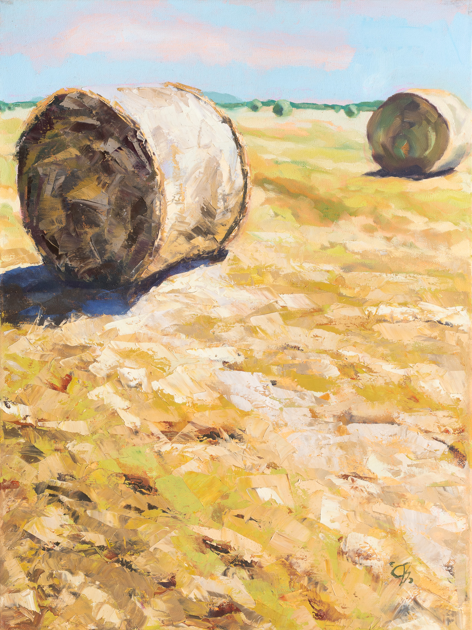 _DSC5544-2 Haybale Daylight